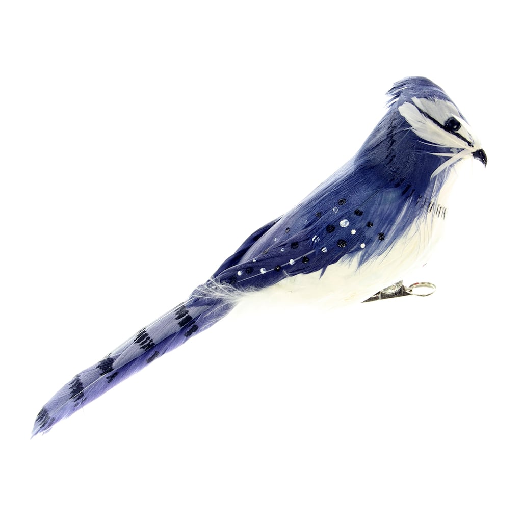Bluejay Bird By Ashland Bluejay Bird By Ashland